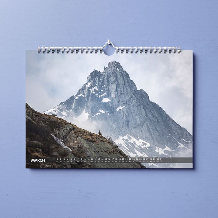 Show details for A4 Wall - 13 Leaf - Big Pic Landscape