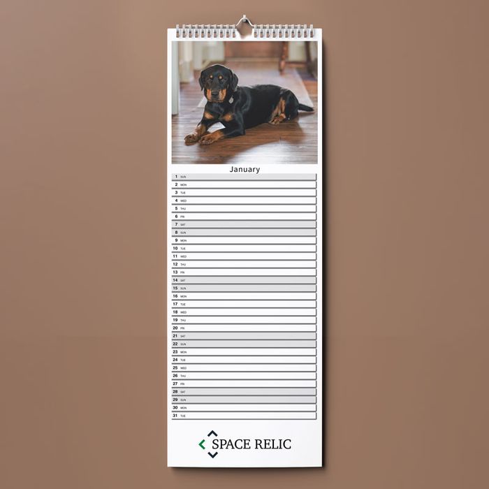 Show details for Slim Wall - 7 Leaf Double Plus