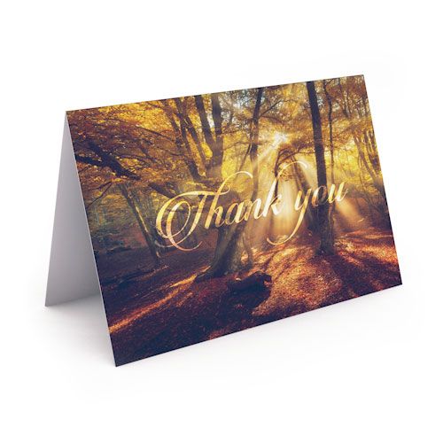 Show details for Ray Of Light Thank You Card
