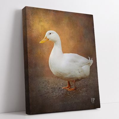 Show details for Wrapped Canvas Memorial Portrait - Cherished Bird with Choice of Backgrounds