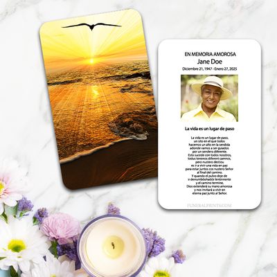 Show details for Sunset Seagull Spanish Prayer Card
