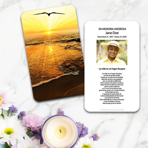 Show details for Sunset Seagull Spanish Prayer Card