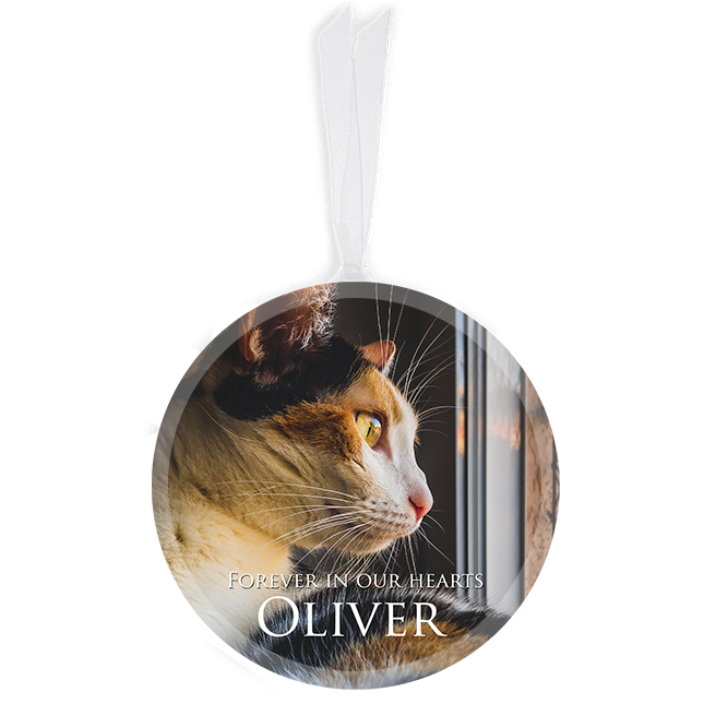 Show details for Classic Full Circle Pet Ornament