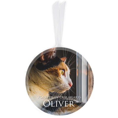 Show details for Classic Full Circle Pet Ornament