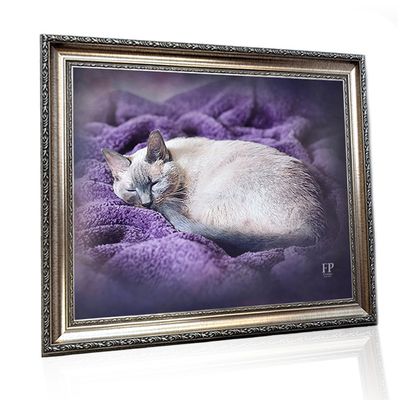 Show details for Framed Memorial Portrait - Curious Cat with Choice of Backgrounds