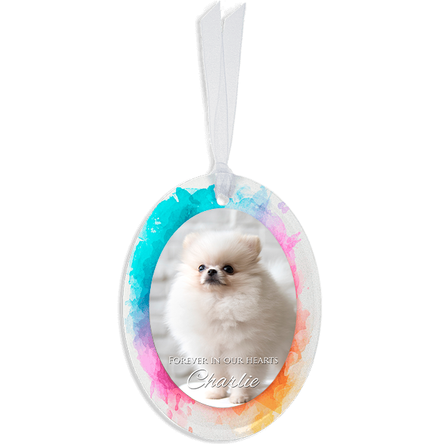 Show details for Vibrant Oval Pet Ornament