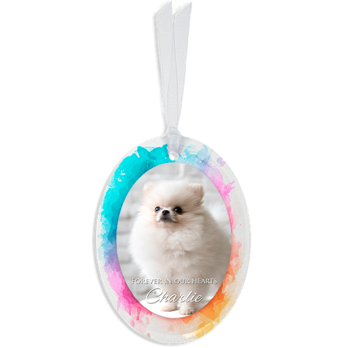 Show details for Vibrant Oval Pet Ornament