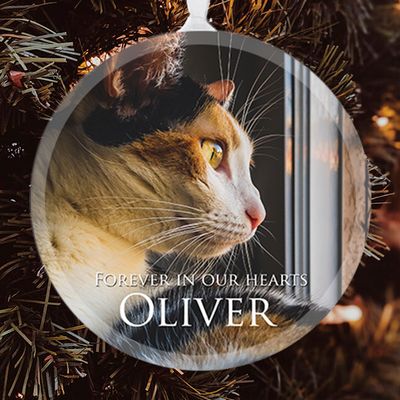 Show details for Classic Full Circle Pet Ornament