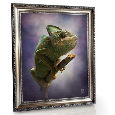 Show details for Framed Memorial Portrait - Serene Lizard with Choice of Backgrounds