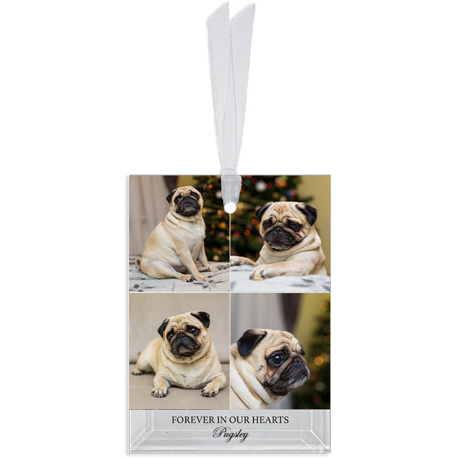 Show details for Gallery 4 Rectangle Pet  Ornament