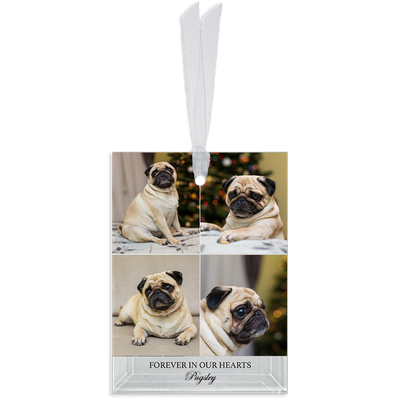 Show details for Gallery 4 Rectangle Pet  Ornament