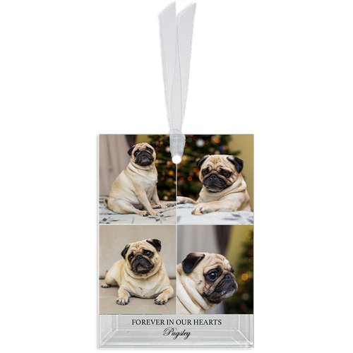 Show details for Gallery 4 Rectangle Pet  Ornament